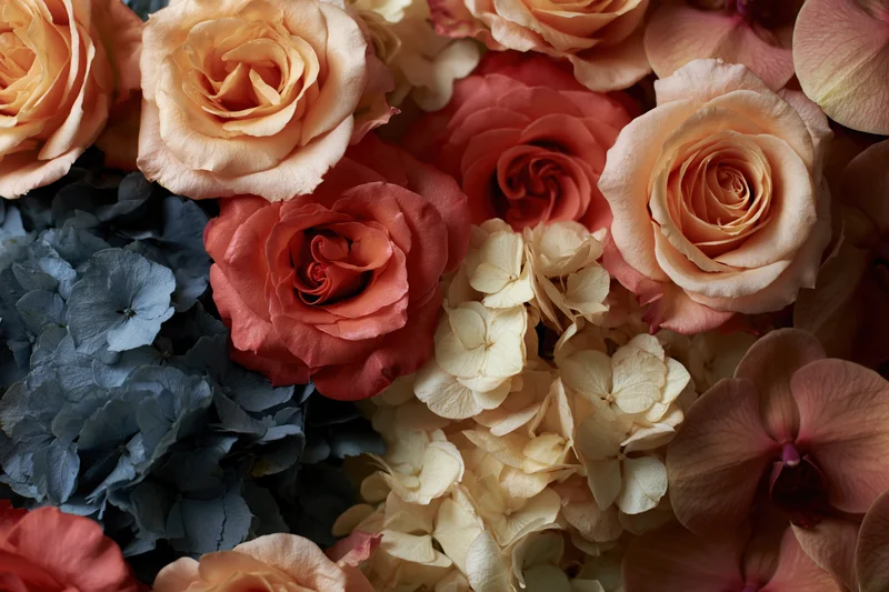 Dense floral arrangement of roses, hydrangeas and orchids in soft pastel tones