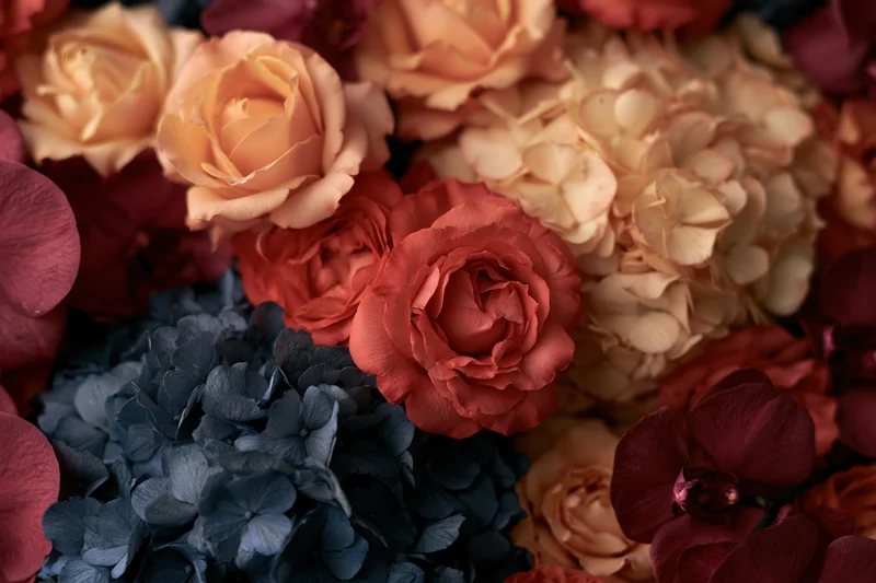 Dense floral arrangement of roses, hydrangeas and orchids in warm and cool tones