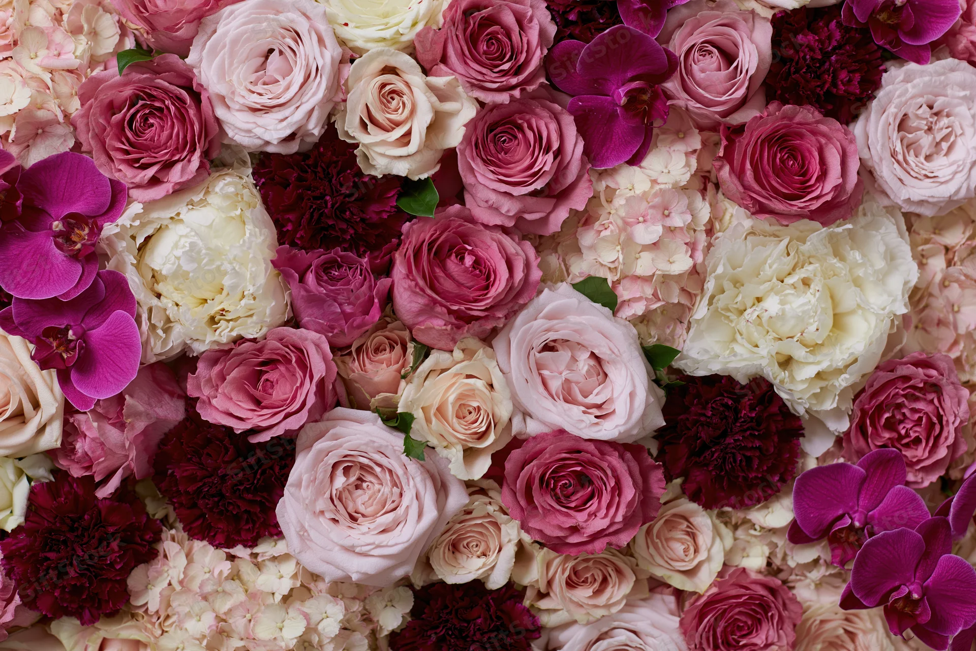 Dense flat-lay wall of mixed cut flowers packed tightly together