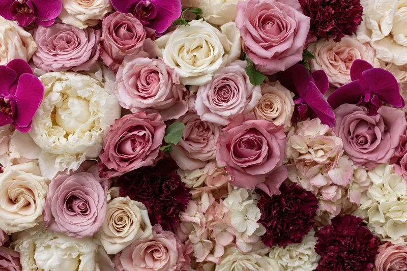 Dense flat-lay wall of mixed cut flowers packed tightly together