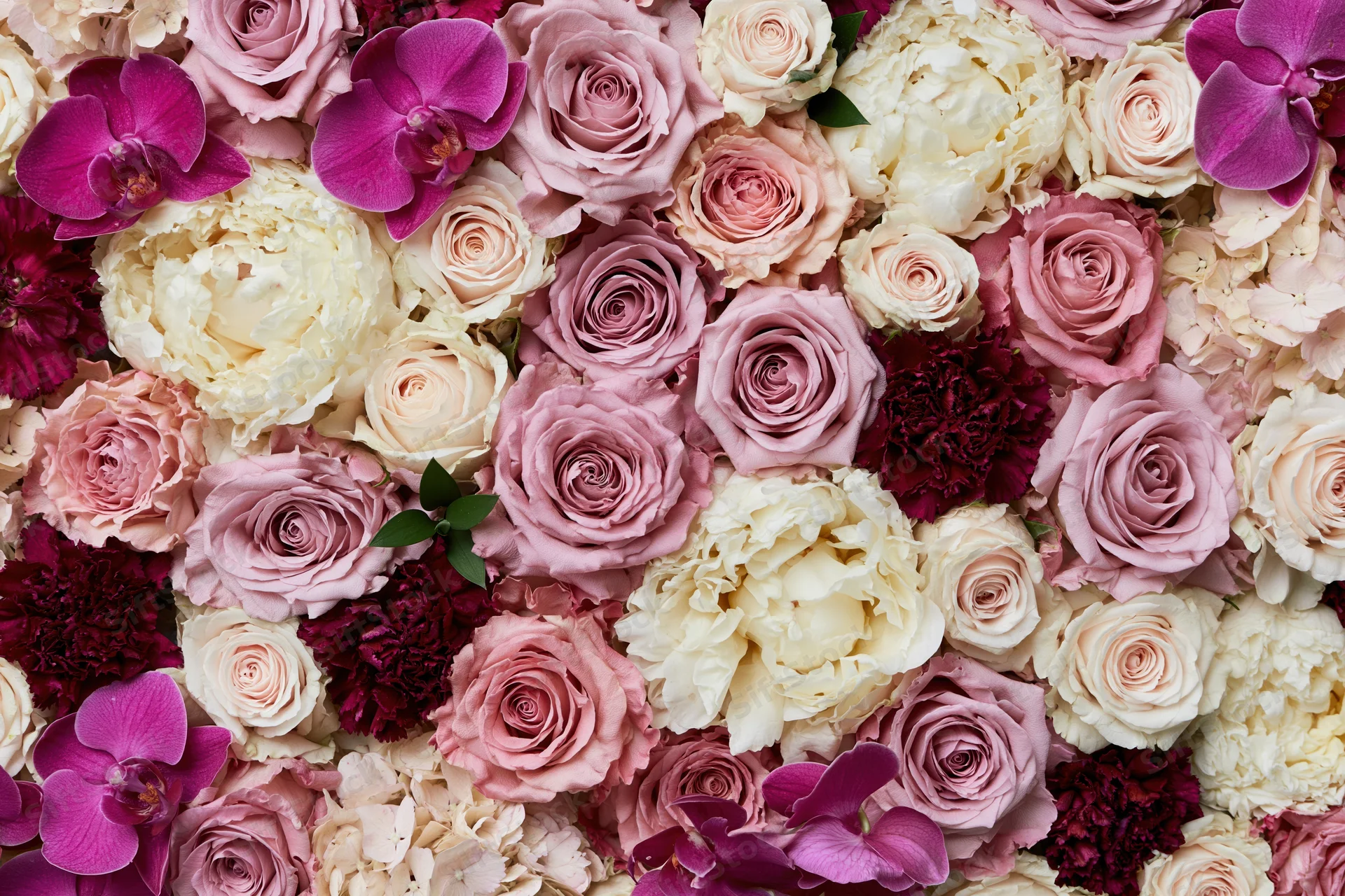 Dense flat-lay wall of mixed cut flowers packed tightly together in soft pastel hues