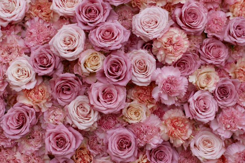 Dense wall of tightly packed pink roses and carnations forming a floral backdrop
