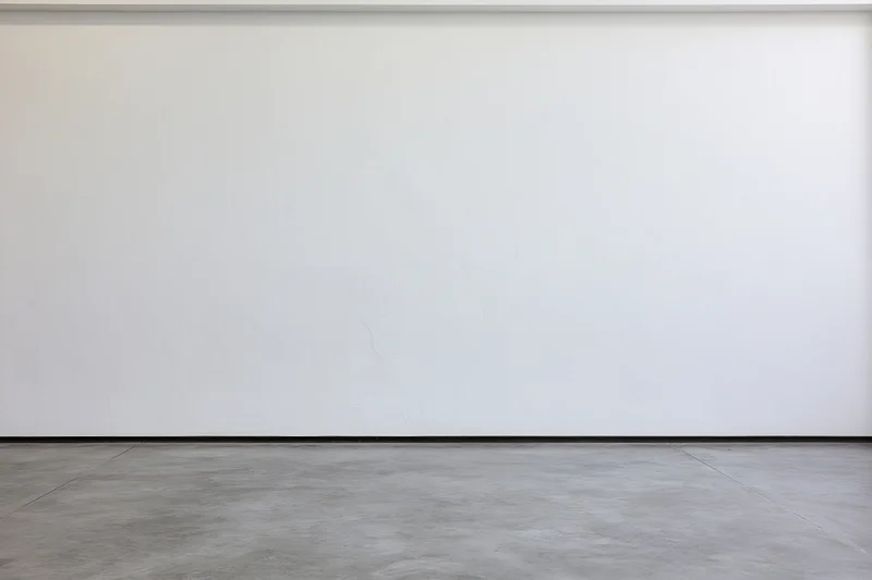 Empty room with white plaster wall meeting concrete floor
