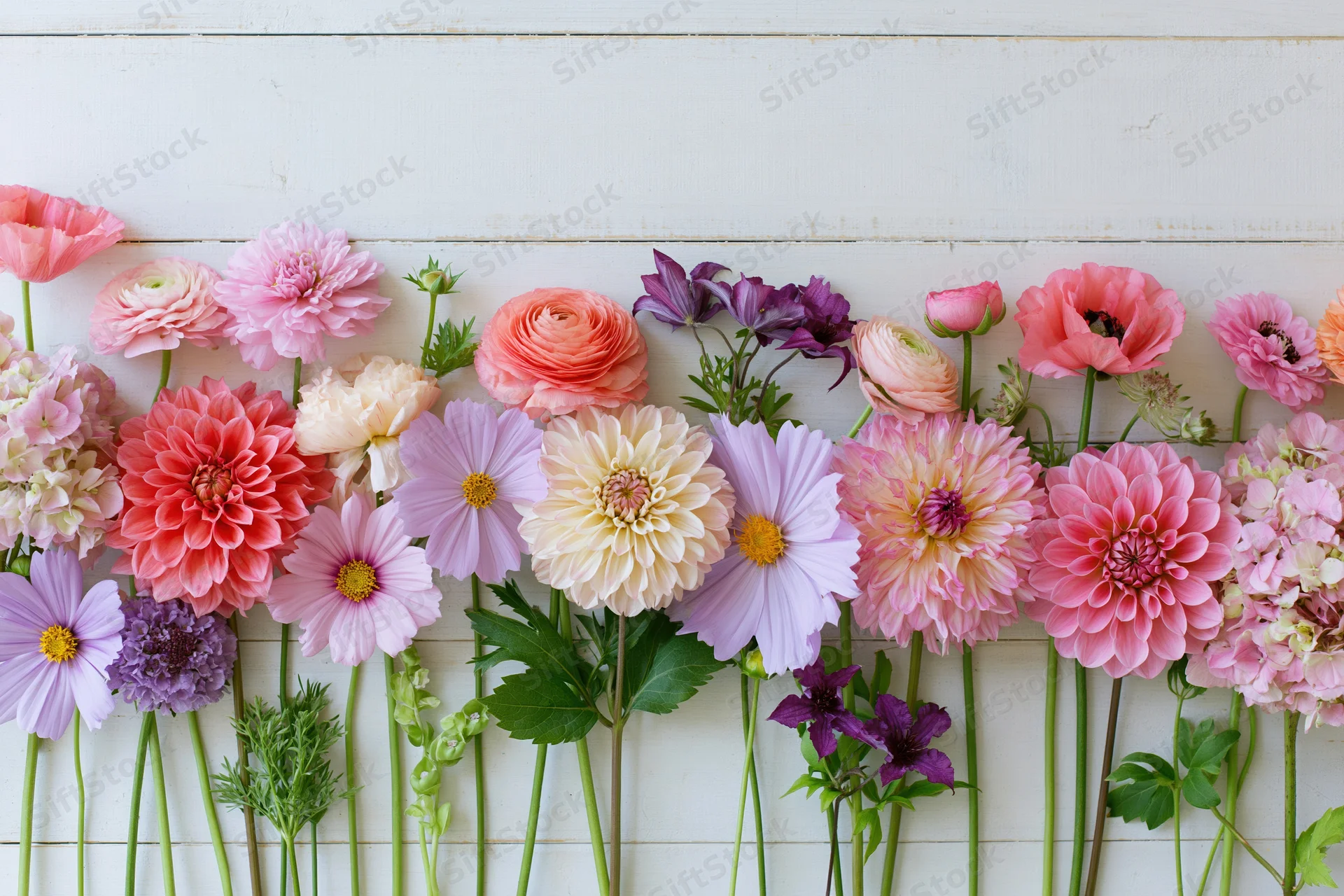 Assorted fresh cut flowers arranged in a flat lay against a white wooden background