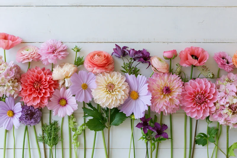Assorted fresh cut flowers arranged in a flat lay against a white wooden background