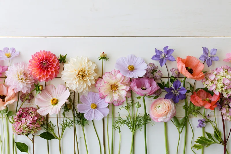 Assorted fresh cut flowers arranged in a flat lay along a white wooden surface with copyspace above