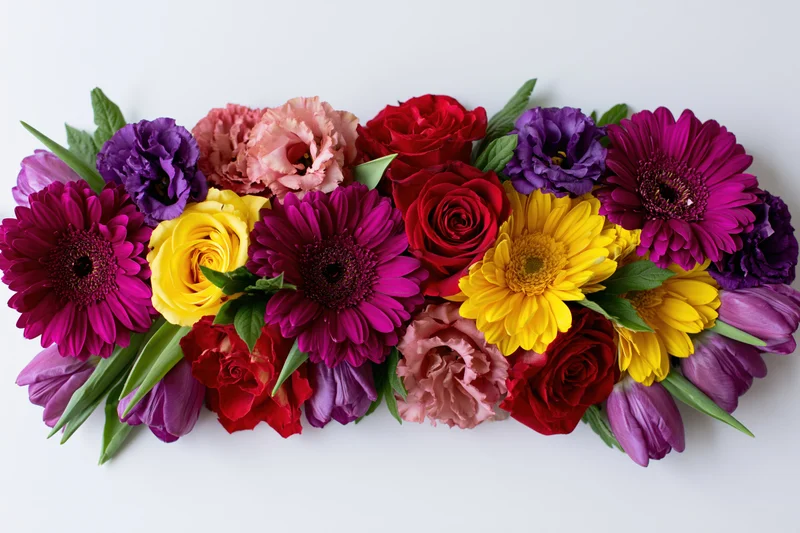 Flat lay arrangement of mixed cut flowers including gerbera daisies, roses, tulips, and carnations on white background