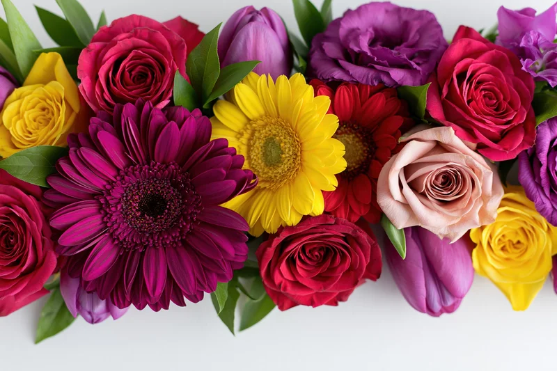 Flat lay arrangement of mixed cut flowers including gerbera daisies, roses, and tulips on white background