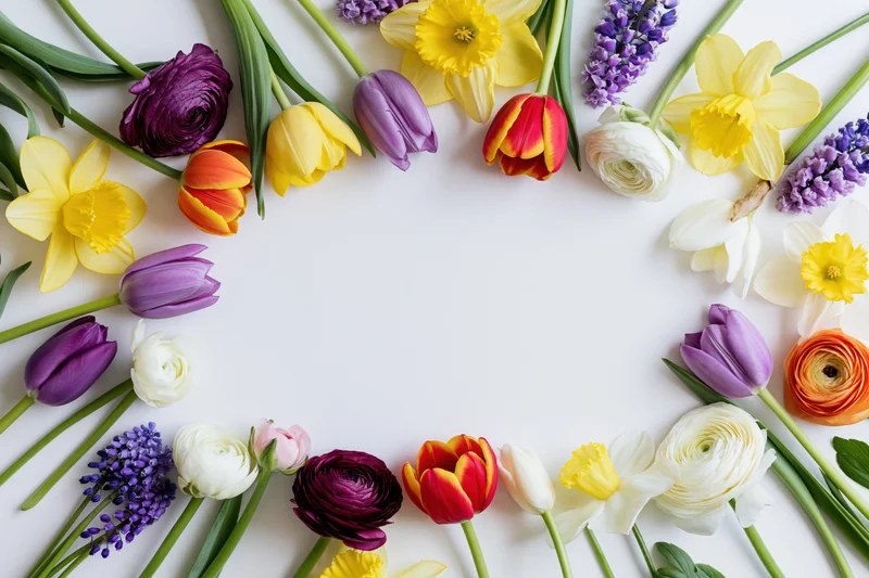Mixed spring flowers arranged in a flat lay circle on white background with copyspace