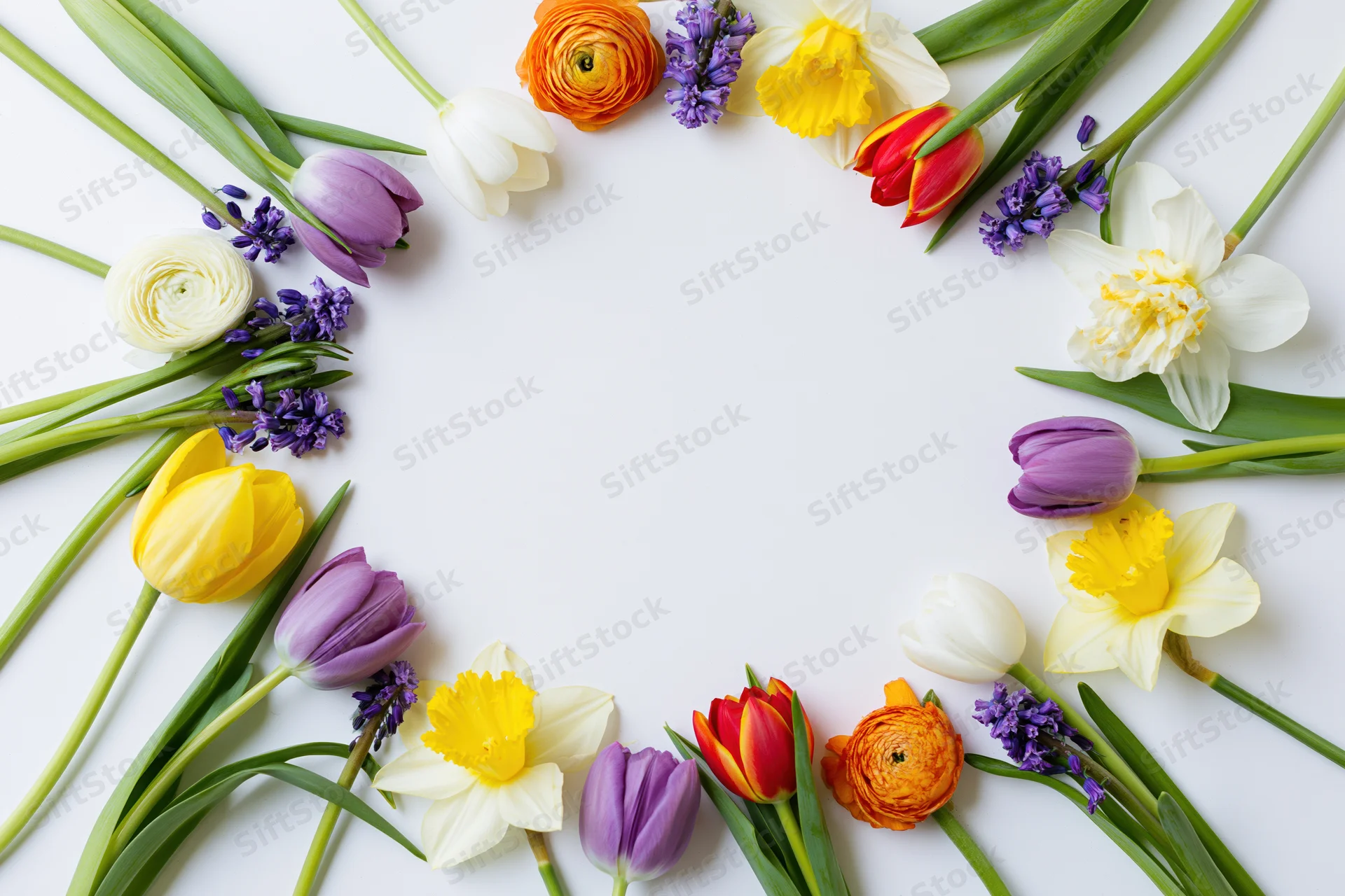 Mixed spring flowers arranged in a circular frame on white background with copyspace