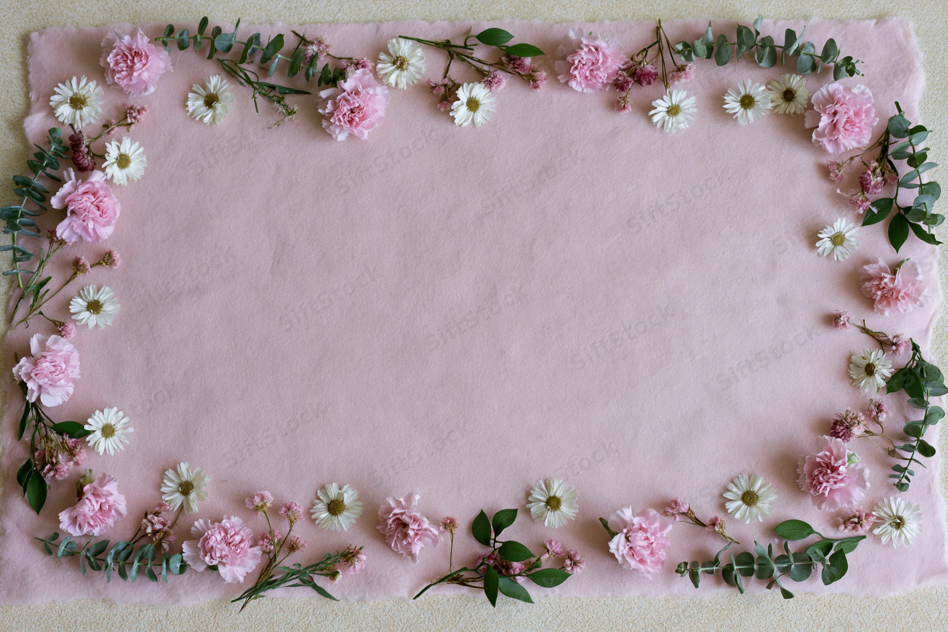 Scattered pink carnations and white daisies with eucalyptus arranged in a border on a pink fabric background