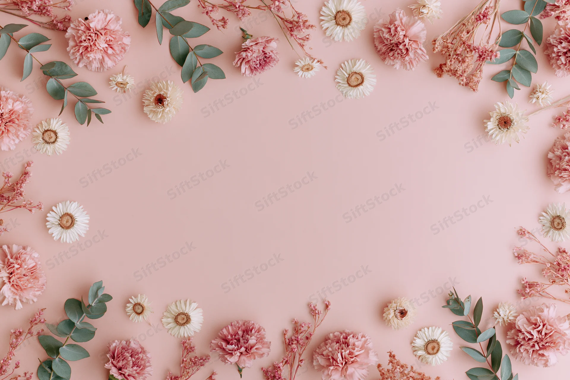 Scattered pink carnations and white daisies with eucalyptus leaves arranged in a flat lay frame on a pink background