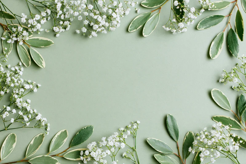 White gypsophila sprigs and variegated green leaves arranged in a flat lay frame on a mint green background with copyspace