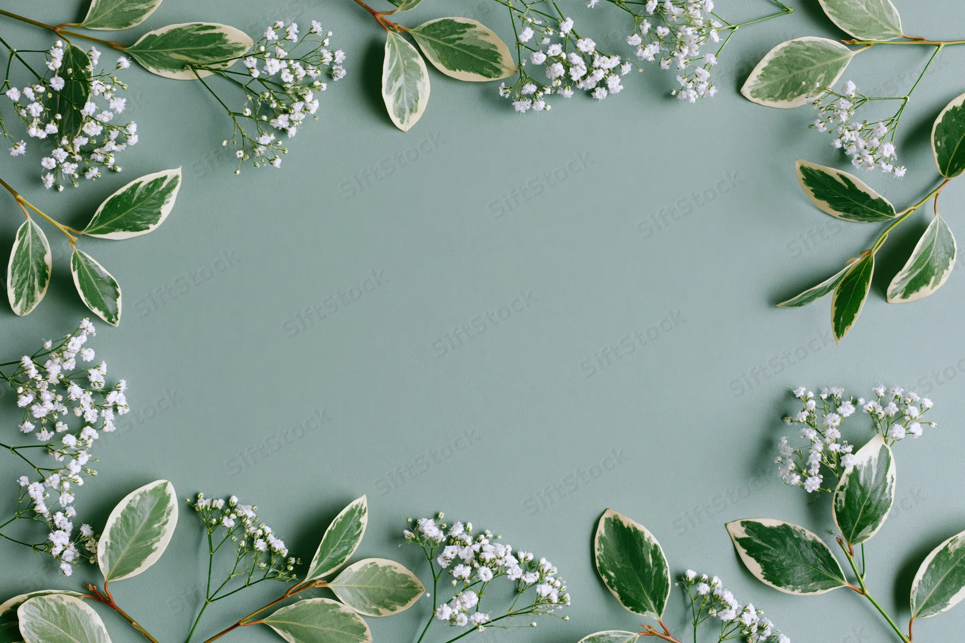 White gypsophila sprigs and variegated green leaves arranged in a flat lay frame on a mint green background with copyspace