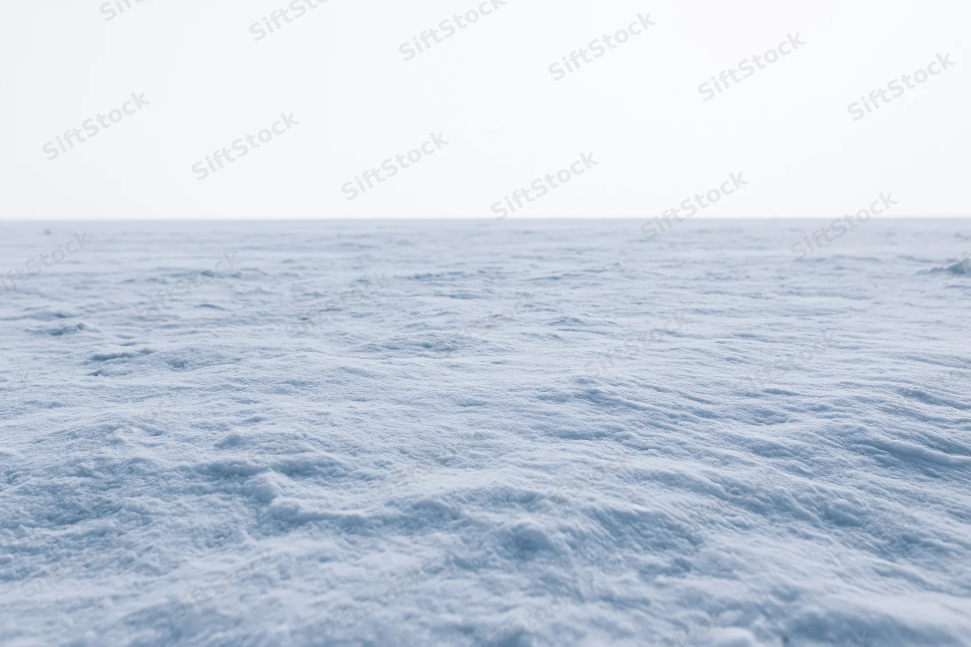 Flat snowfield stretching to a featureless horizon under overcast sky