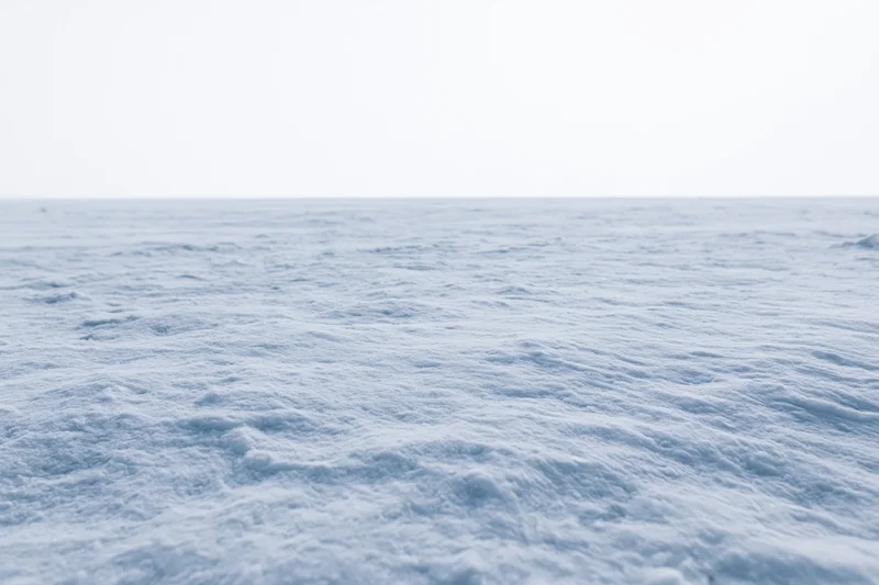 Flat snowfield stretching to a featureless horizon under overcast sky