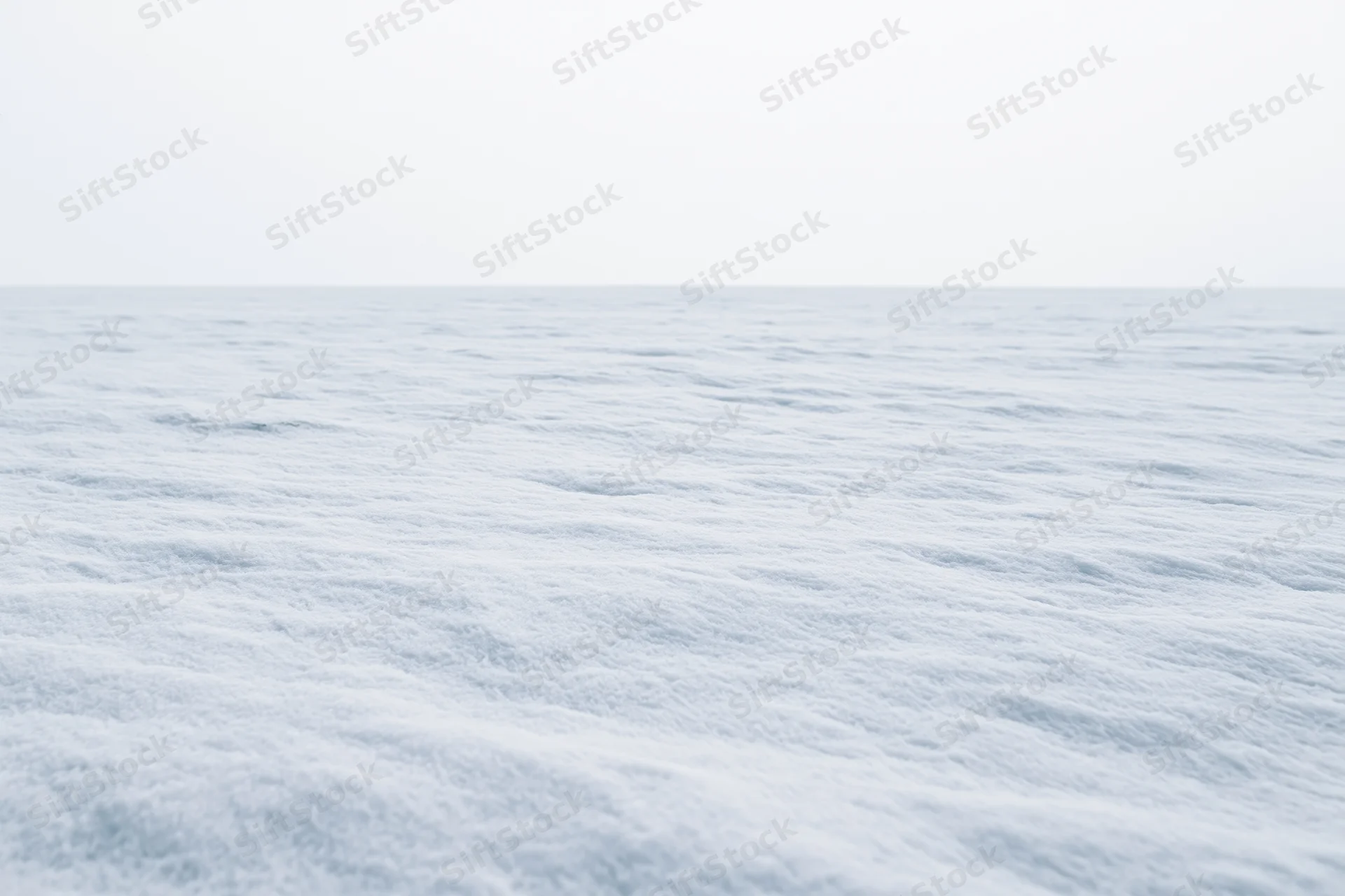 Flat snowfield stretching to a featureless horizon under overcast sky