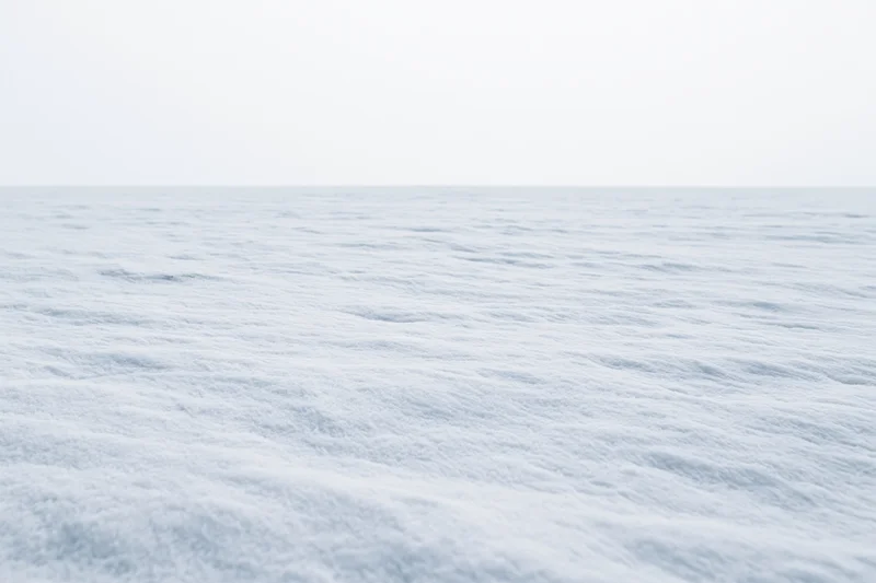Flat snowfield stretching to a featureless horizon under overcast sky