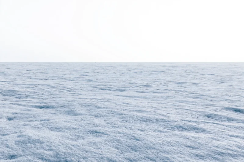 Flat snowfield stretching to a featureless horizon in a wide winter landscape