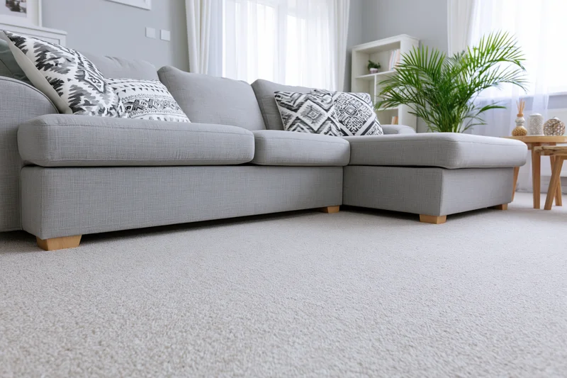 Low-angle view of a gray sectional sofa with patterned throw pillows in a modern minimalist living room with natural light and greenery