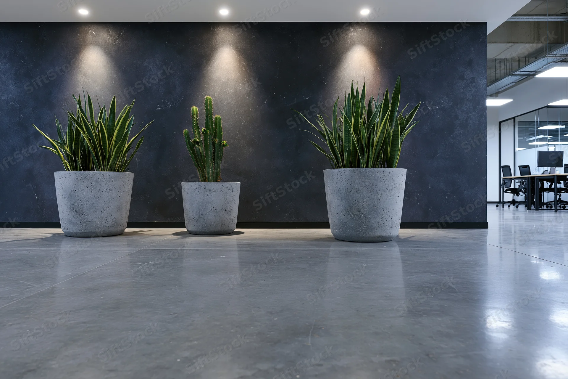 Three potted plants arranged in a row in a modern office lobby with polished concrete floor and dark wall under spotlights