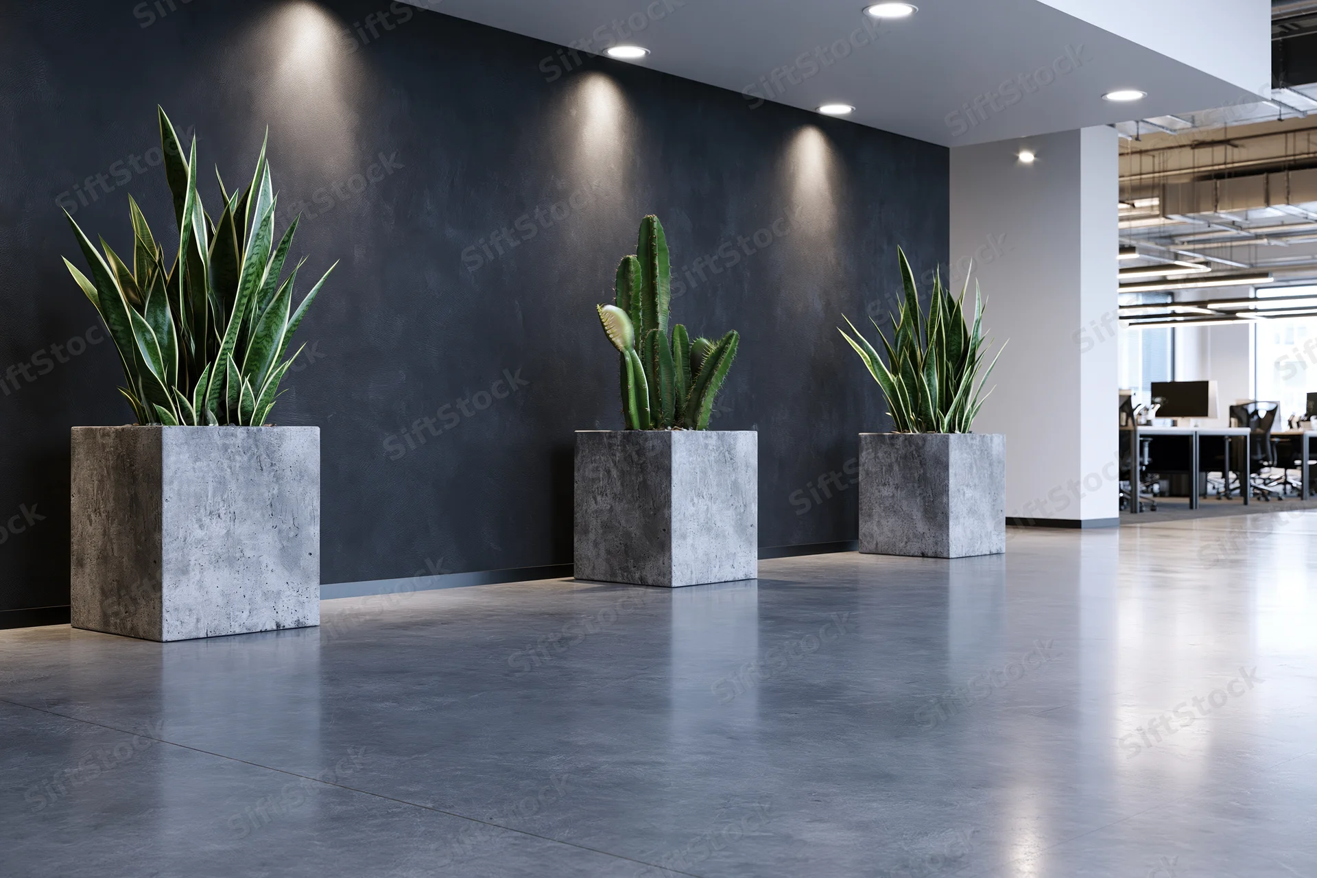 Modern office lobby with three potted plants in concrete planters against a dark wall, viewed from low angle