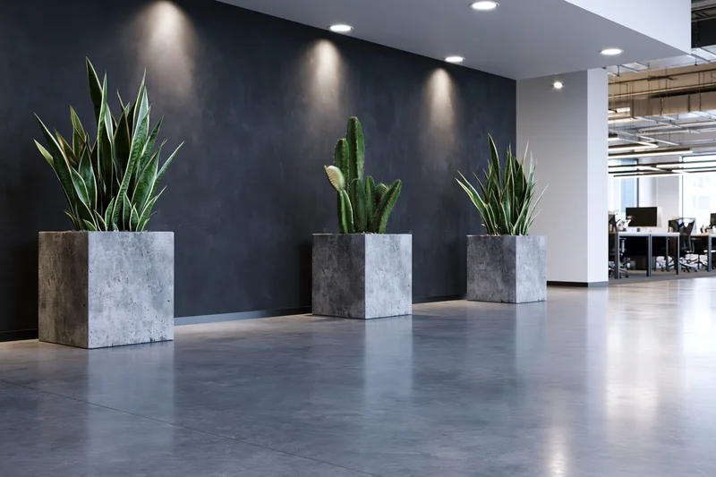 Modern office lobby with three potted plants in concrete planters against a dark wall, viewed from low angle