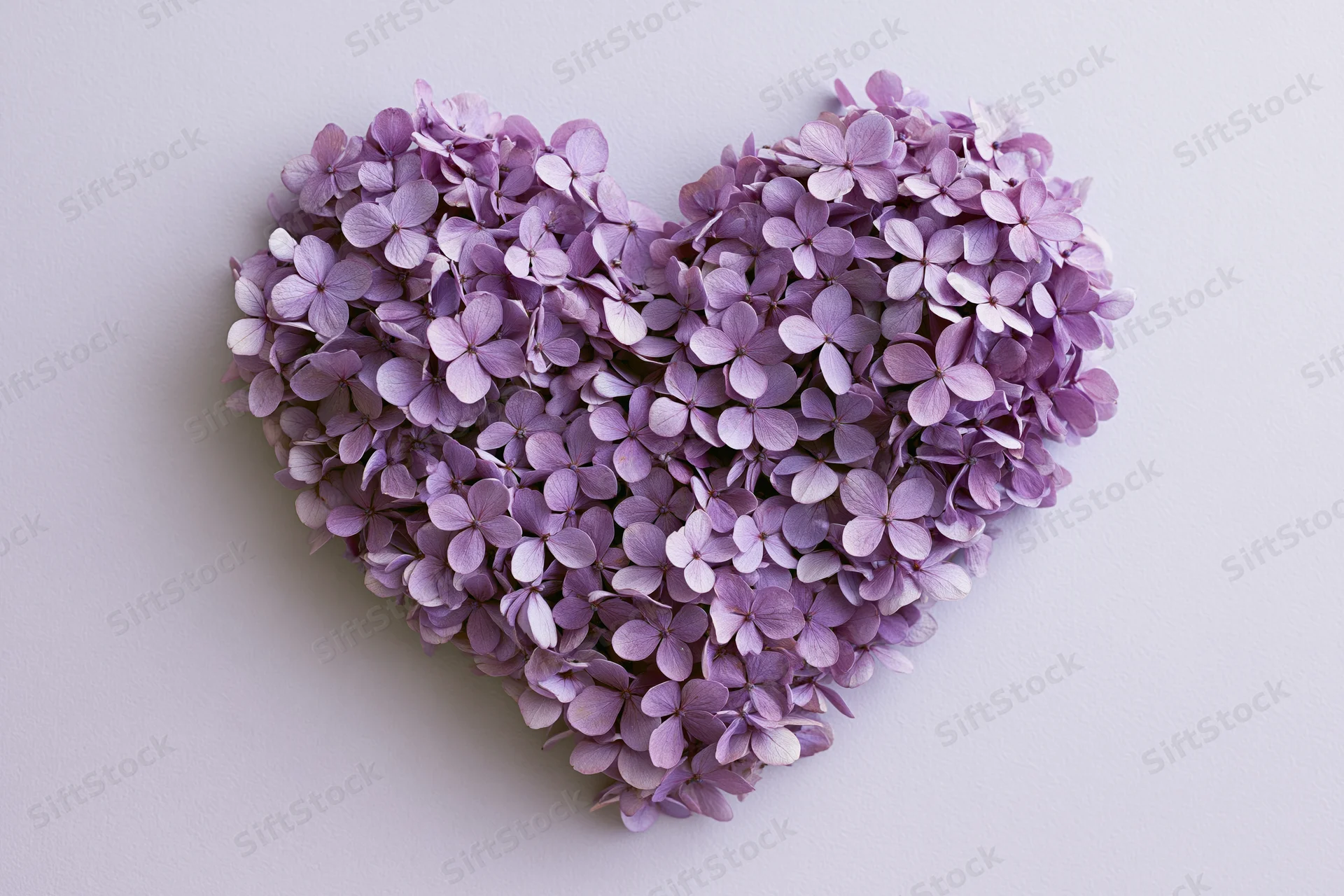Purple hydrangea blooms arranged in heart shape flat lay on light background