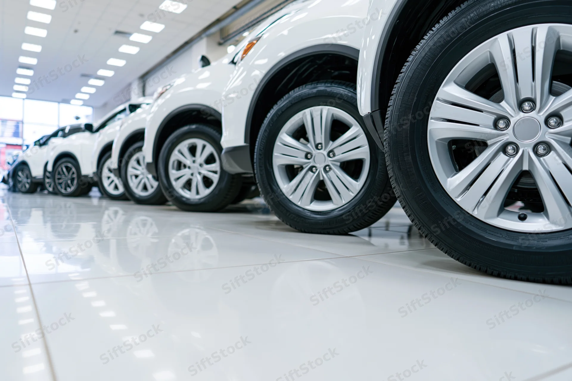 Row of white suvs lined up in a car dealership showroom with glossy tiled floor reflecting wheels and ceiling lights