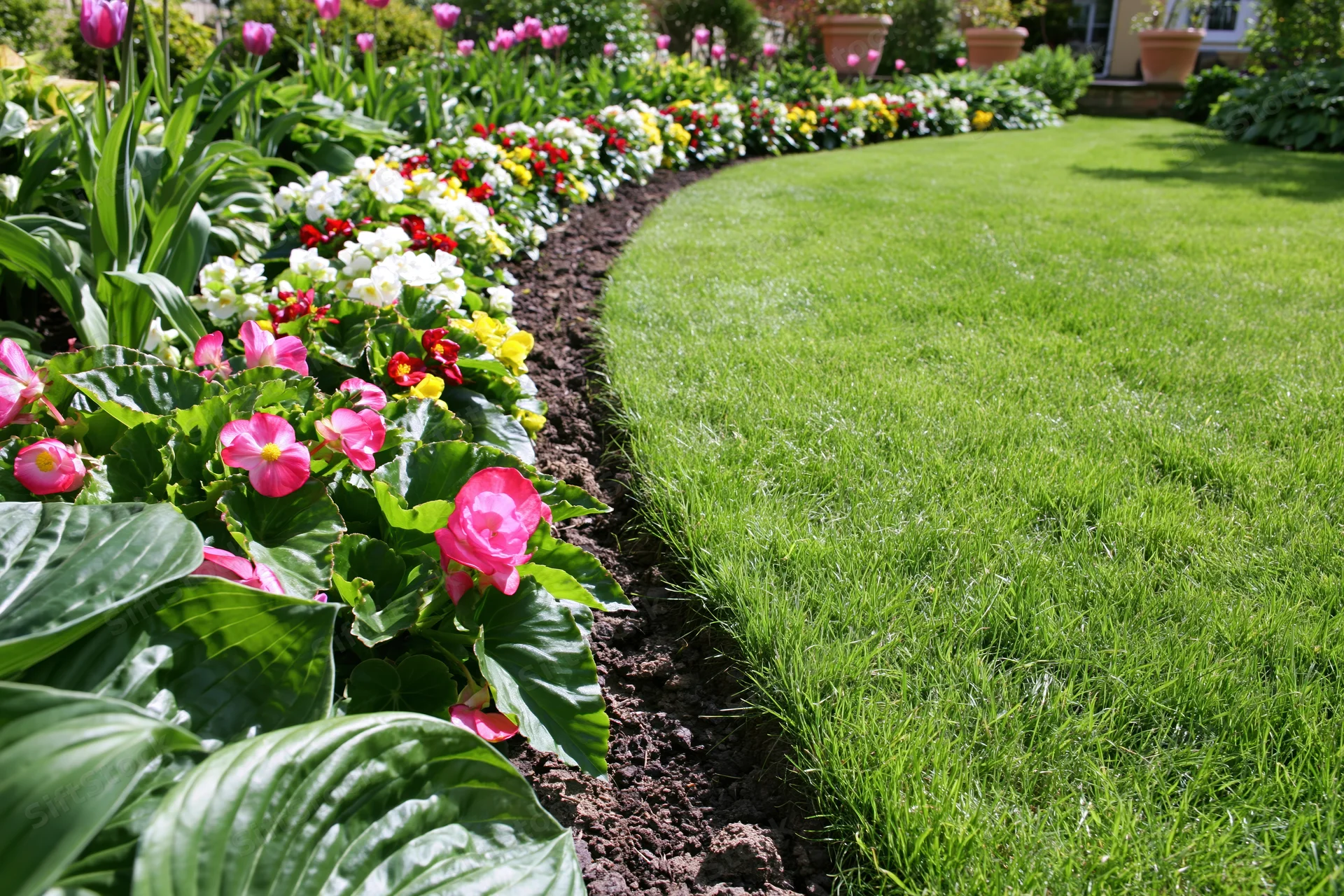 Winding green lawn bordered by colorful flowers and hostas in a residential garden