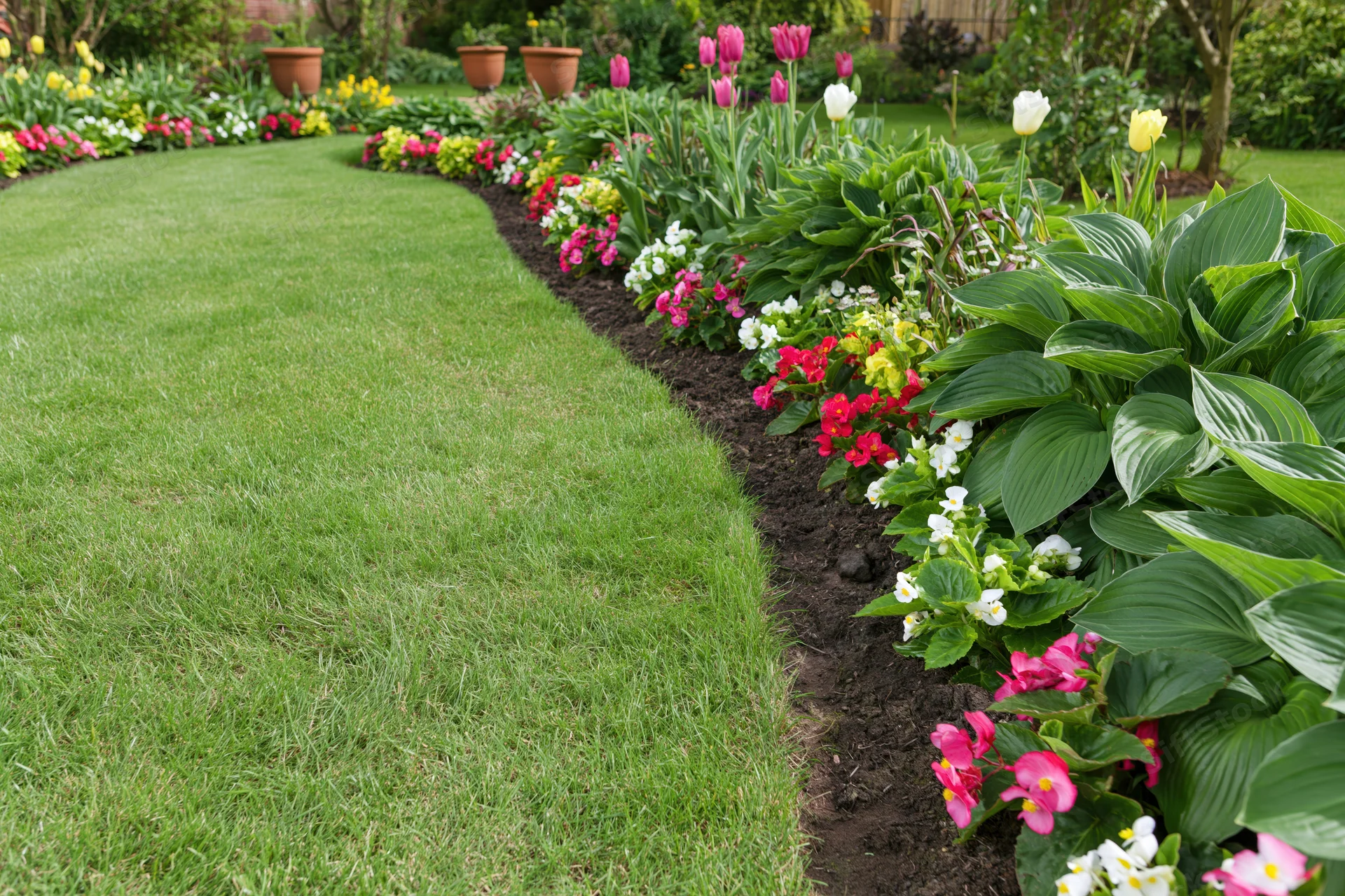 Winding green lawn bordered by colorful flowerbeds in a residential garden