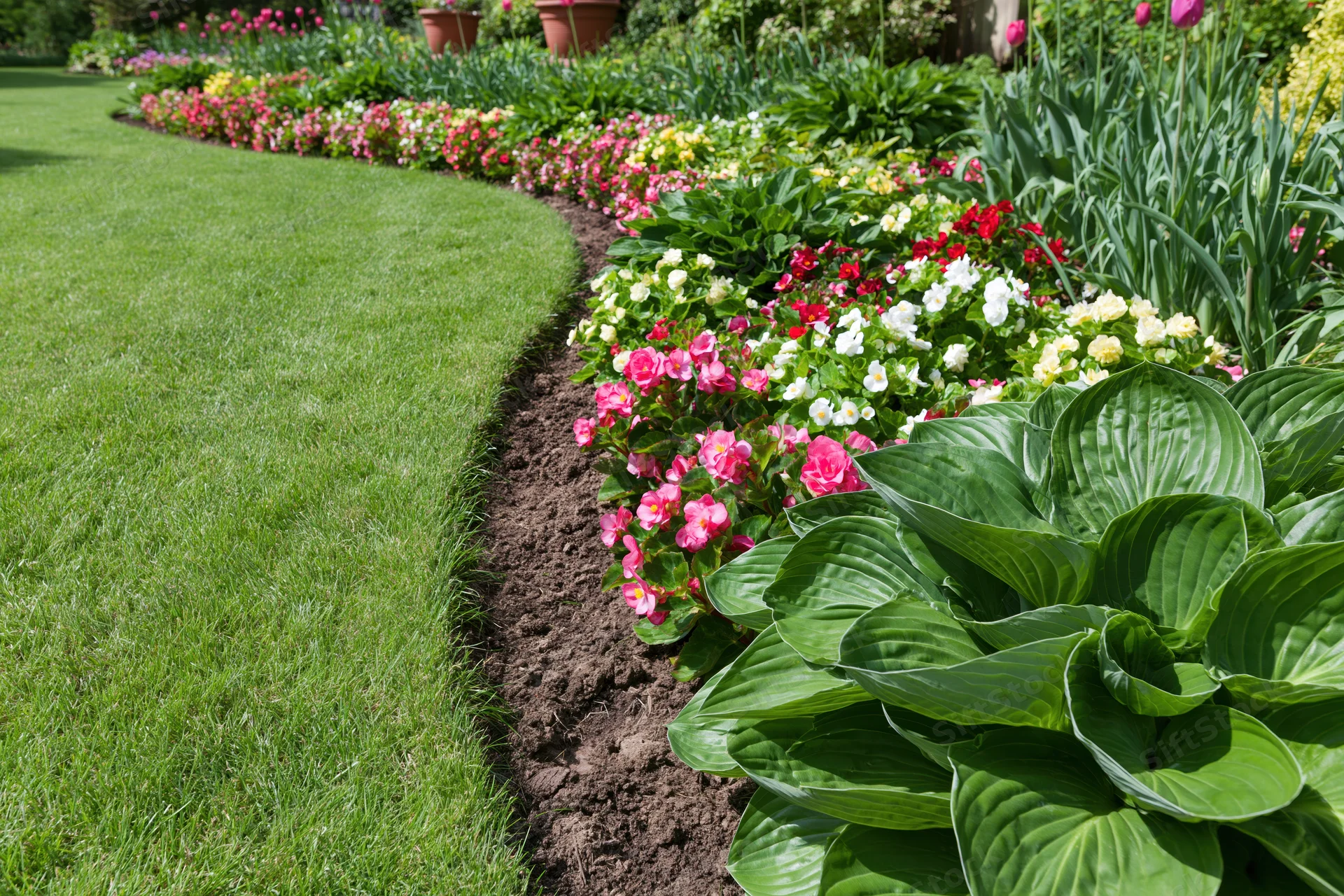 Winding green lawn bordered by colorful flowerbeds in a residential garden