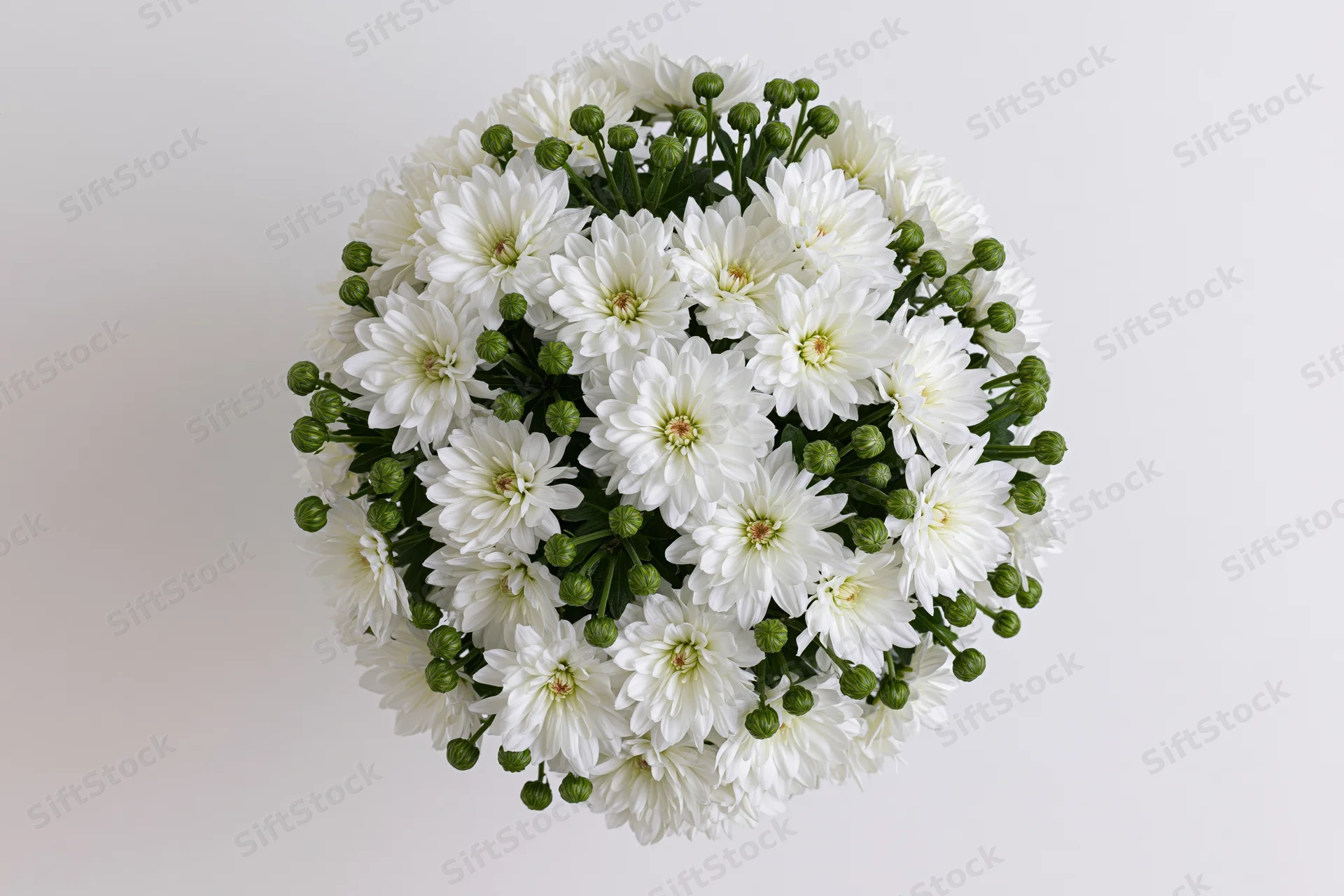 White chrysanthemum flowers arranged in dense circular bouquet viewed from directly overhead on plain background