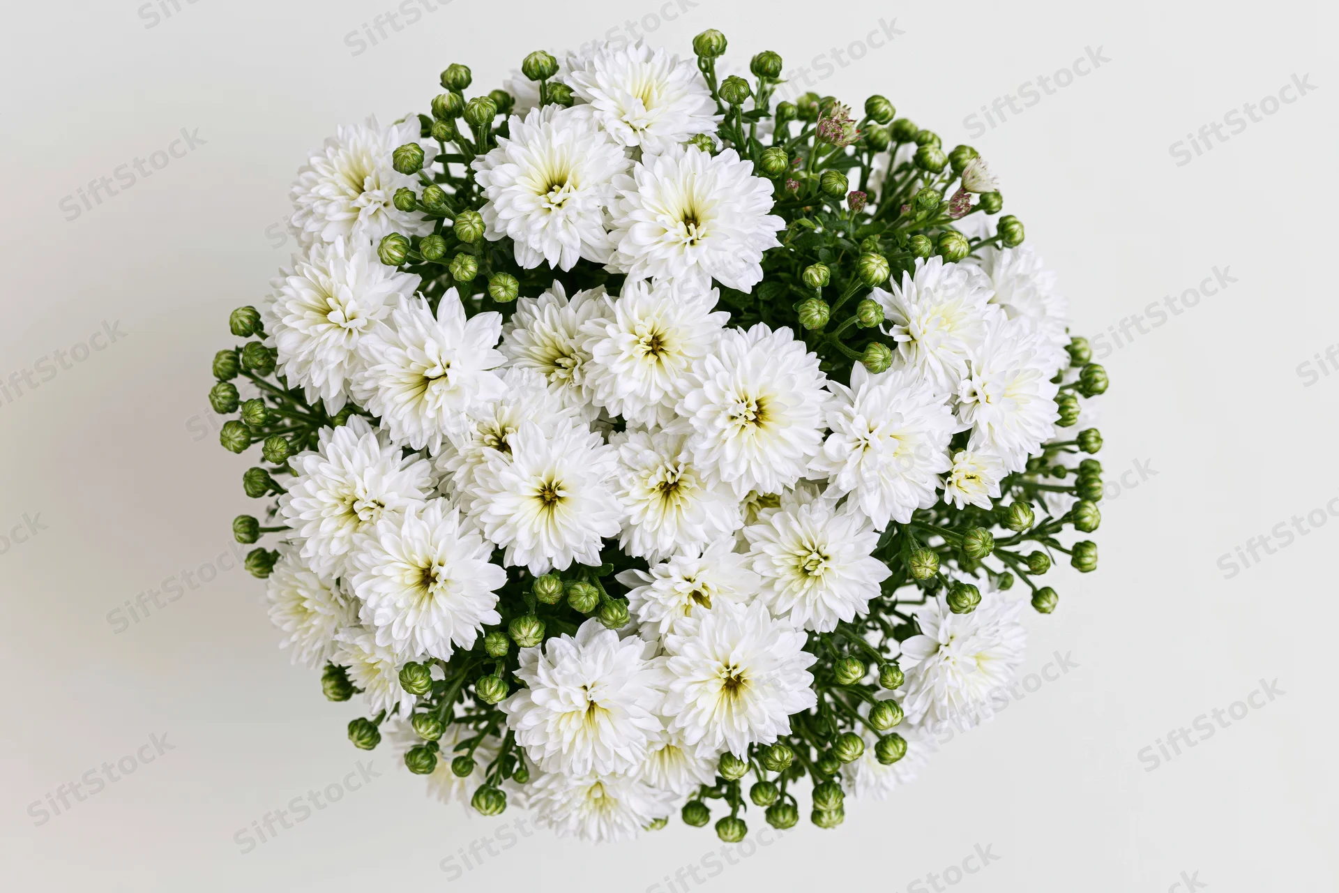 White chrysanthemum blooms densely arranged in a circular bouquet viewed from directly overhead against a plain background