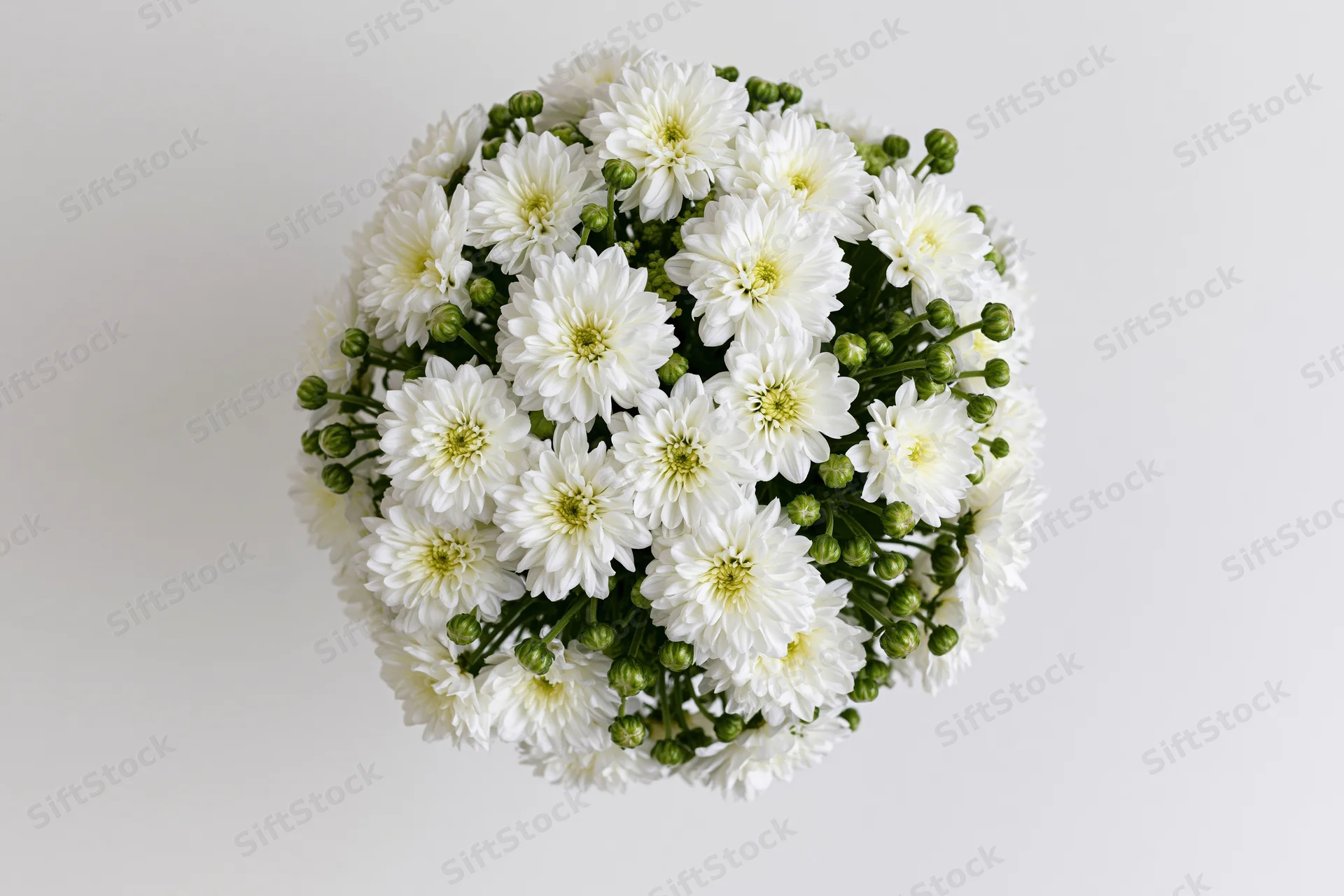 White chrysanthemum bouquet viewed from directly overhead on plain background