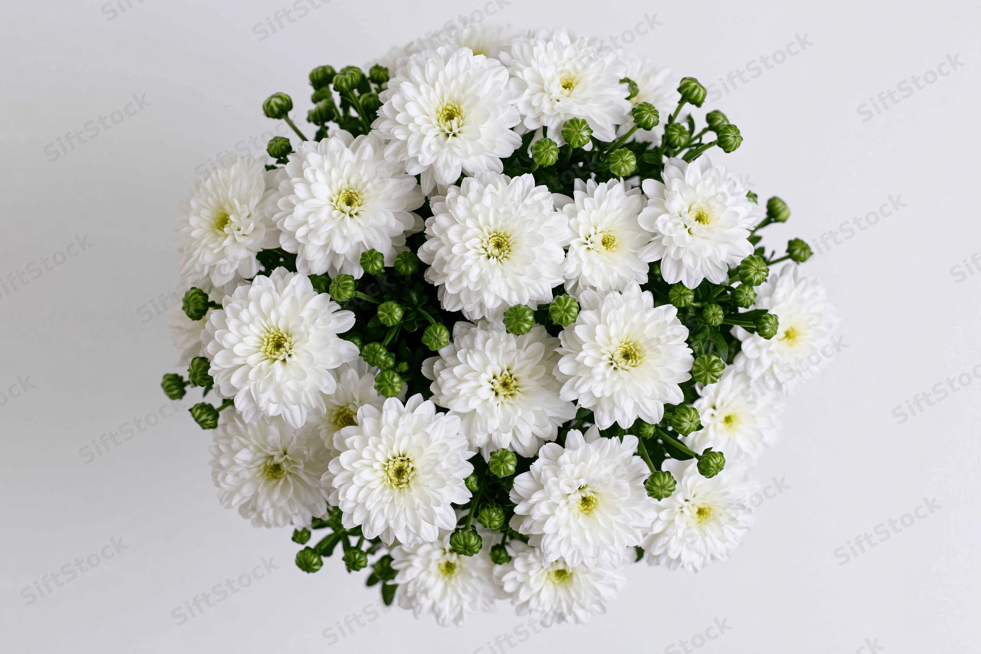 White chrysanthemum flowers densely arranged in a circular bouquet viewed from directly overhead against a plain white background