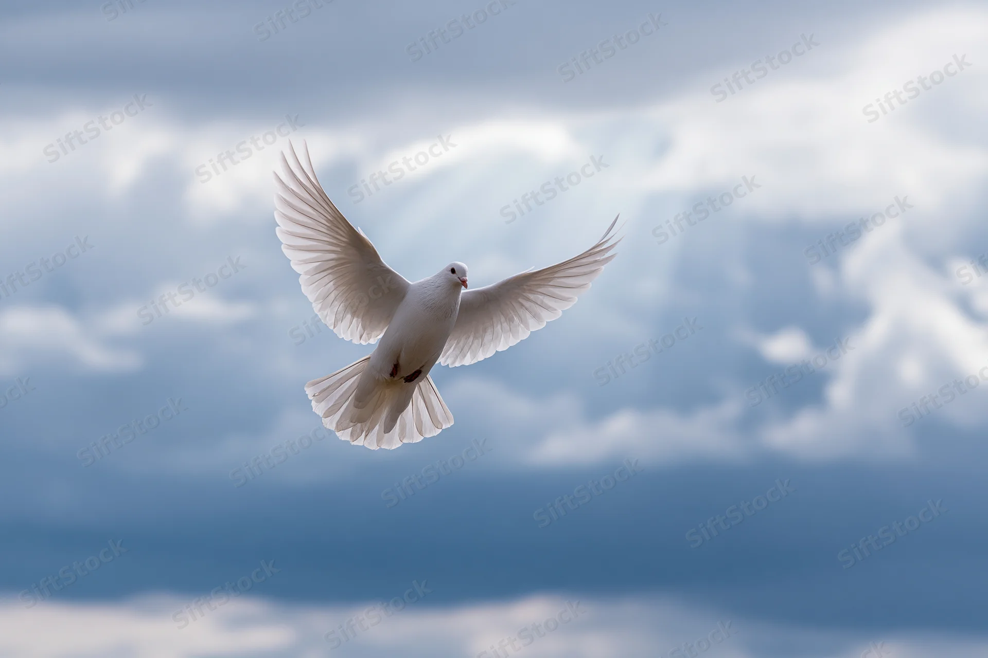 White dove in mid-flight with wings fully spread against cloudy sky