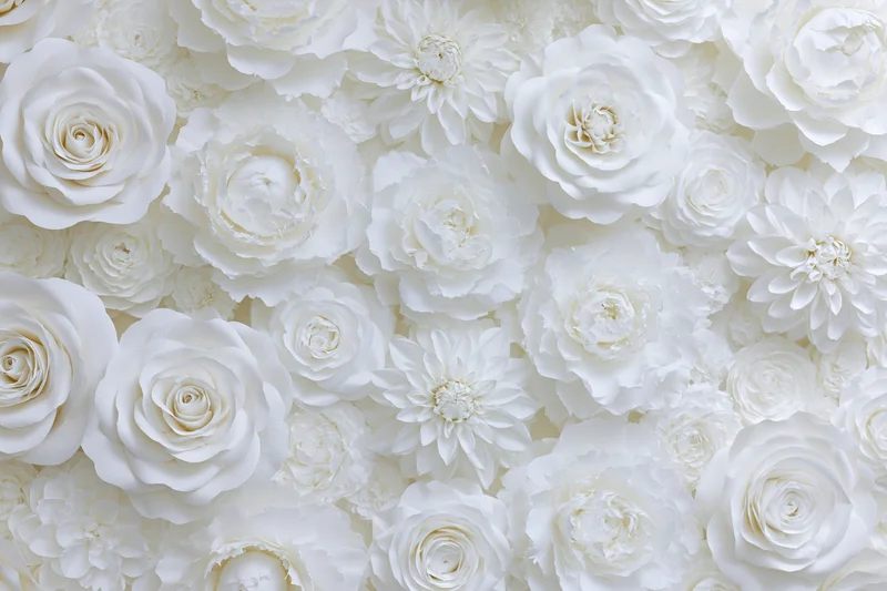 White paper flowers including roses peonies and dahlias arranged as a dense floral backdrop