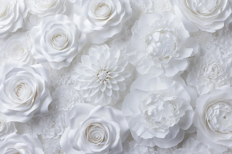 White paper flowers including roses peonies and dahlias arranged as a decorative wall backdrop