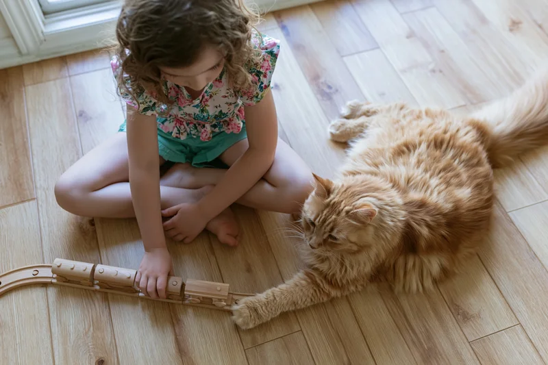 Young girl sitting cross-legged on light wood laminate floor playing with wooden train track while ginger cat lies beside her touching the track with its paw
