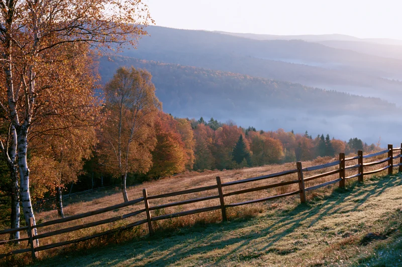Autumn hillside landscape with wooden split-rail fence running through grassy field and trees under morning light