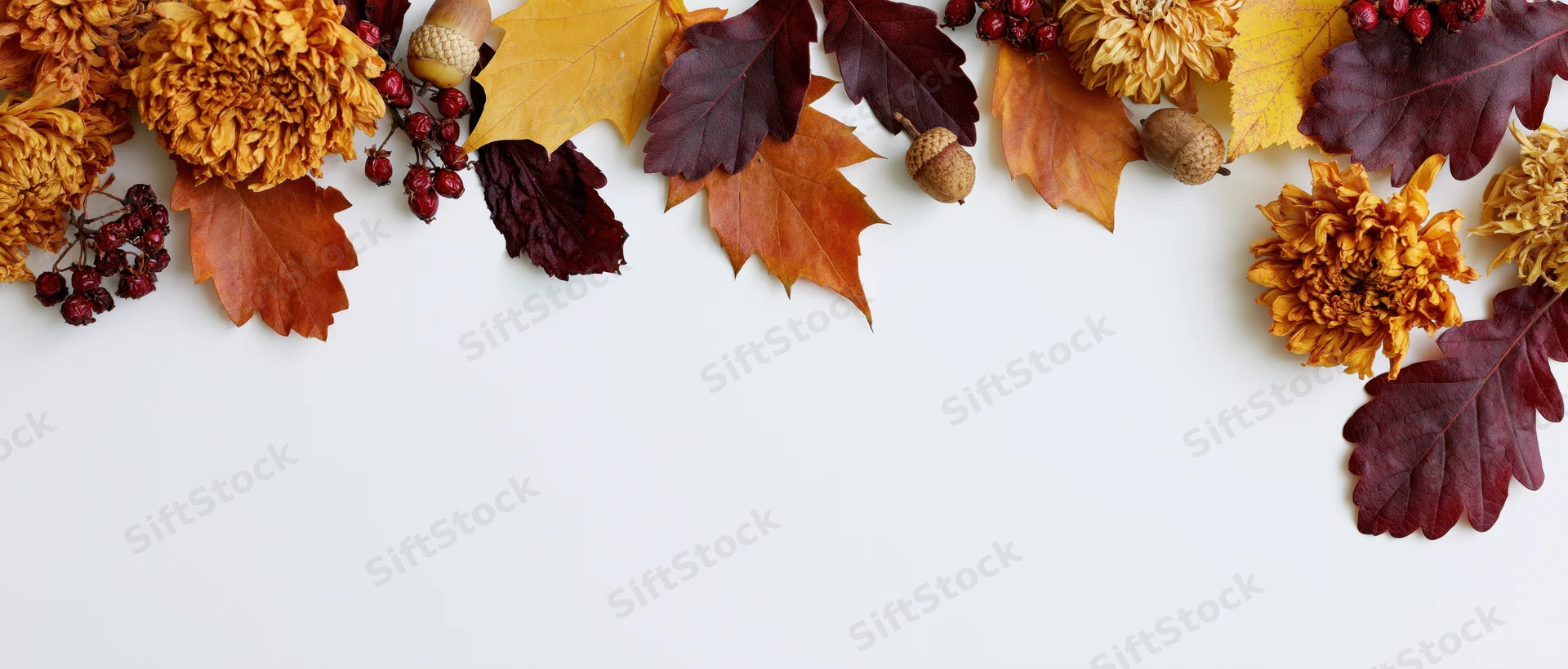 Autumn leaves and dried flowers with berries and acorns arranged along the top of a white surface