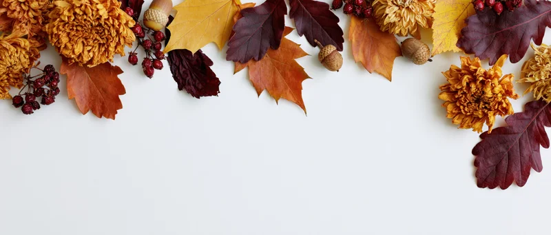 Autumn leaves and dried flowers with berries and acorns arranged along the top of a white surface