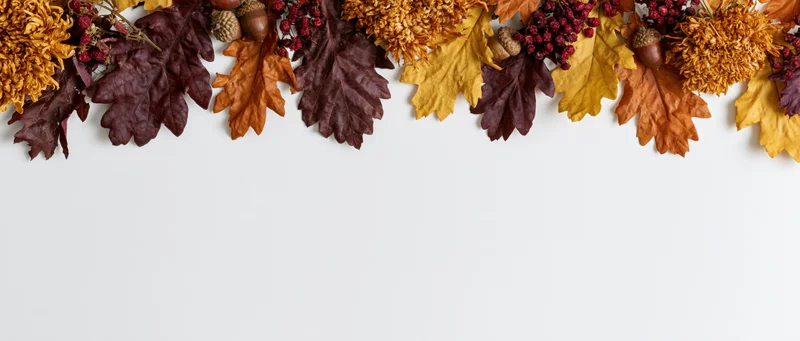 Autumn leaves and dried flowers arranged in a border along the top of a white surface