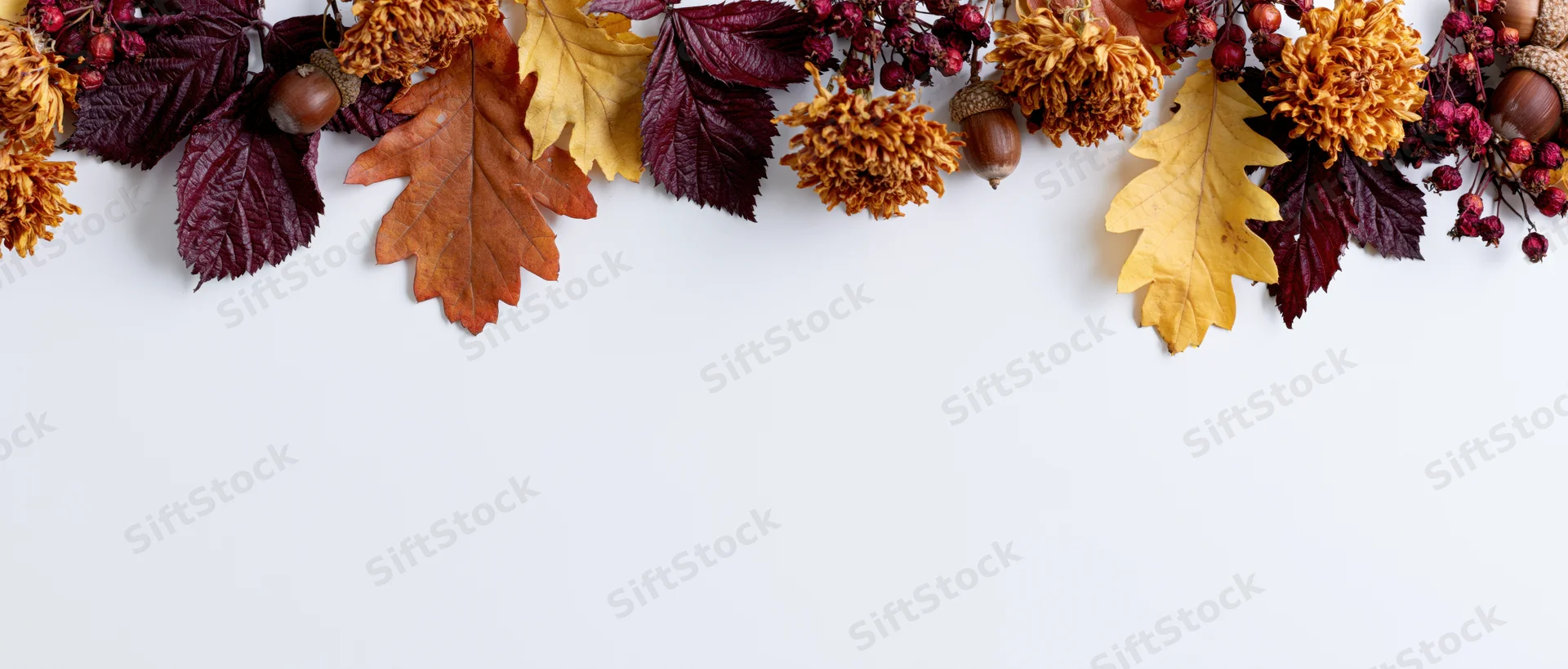 Autumn leaves and dried flowers arranged in a border along the top of a white surface with copyspace below