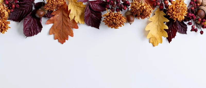 Autumn leaves and dried flowers arranged in a border along the top of a white surface with copyspace below