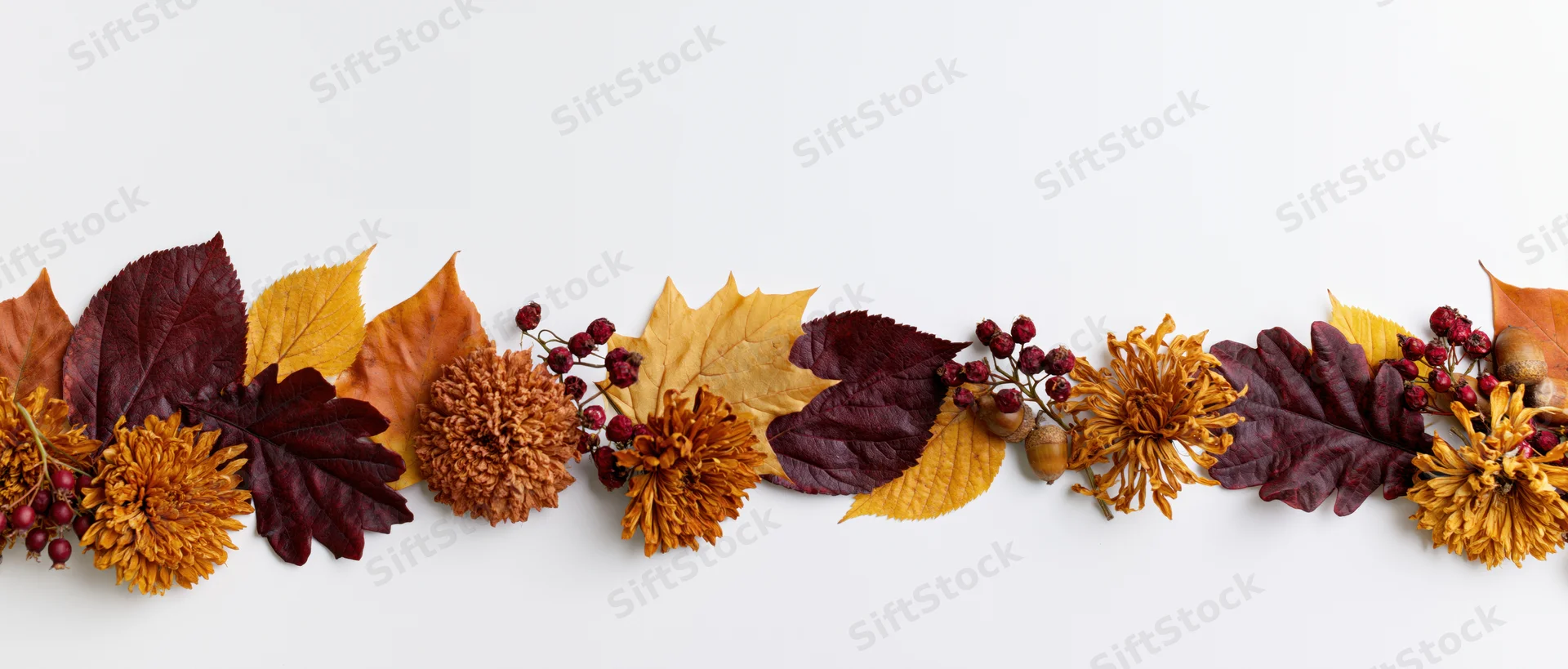 Dried autumn leaves and flowers arranged in a row on white background with copyspace