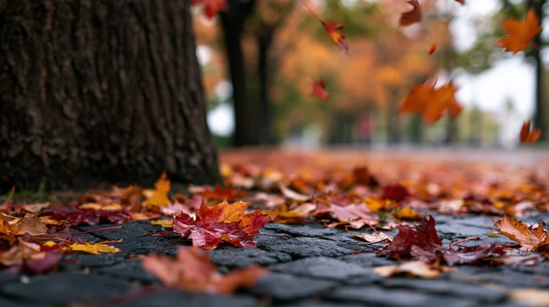 Autumn leaves falling and scattered across wet cobblestone pavement near a tree trunk