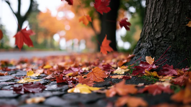 Autumn leaves falling and scattered across wet cobblestone near a tree trunk in a park