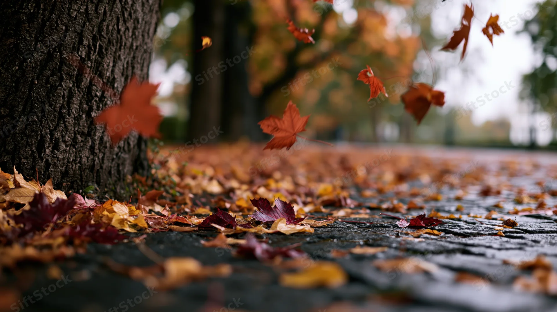 Autumn leaves falling and scattered across wet cobblestone near a tree trunk in a park